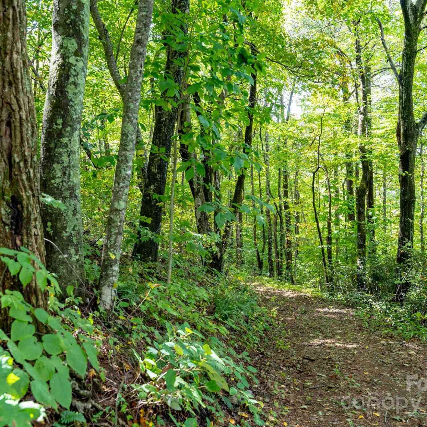 00 Bell Mountain Road, Zirconia, North Carolina image 27