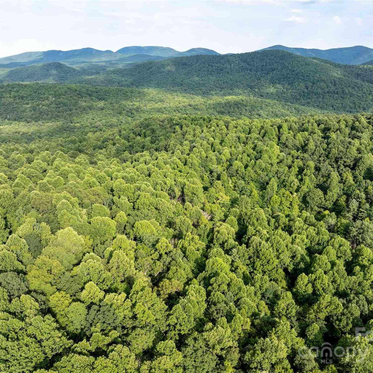 00 Bell Mountain Road, Zirconia, North Carolina image 9