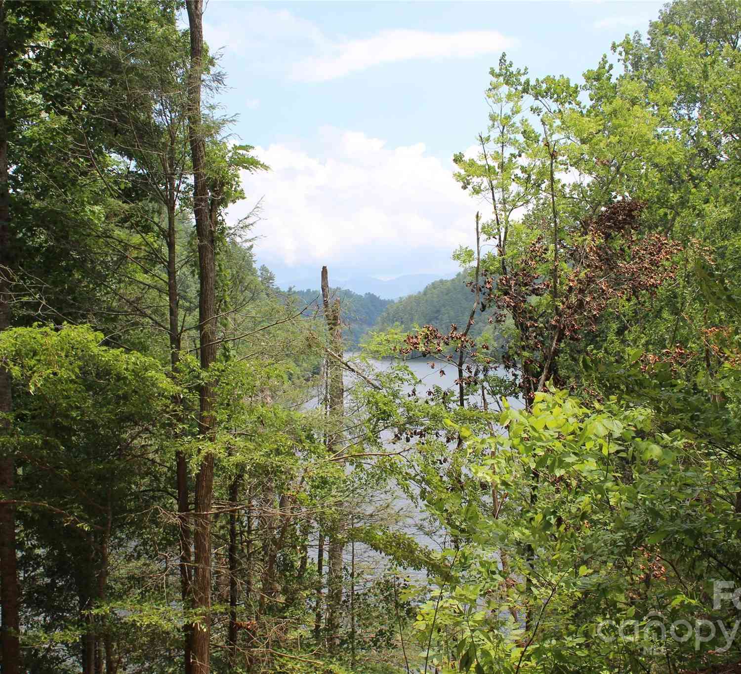 000 White Oak Road, Waynesville, North Carolina image 22