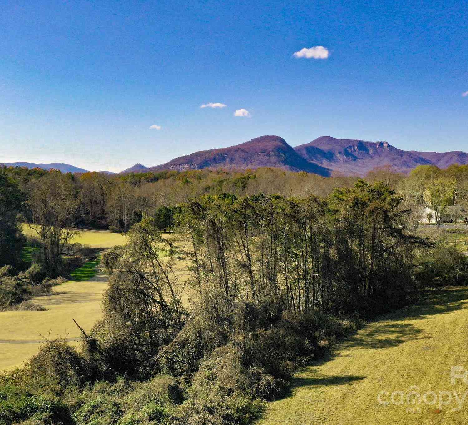 Lot 13 Buffalo Creek Road #13, Lake Lure, North Carolina image 8