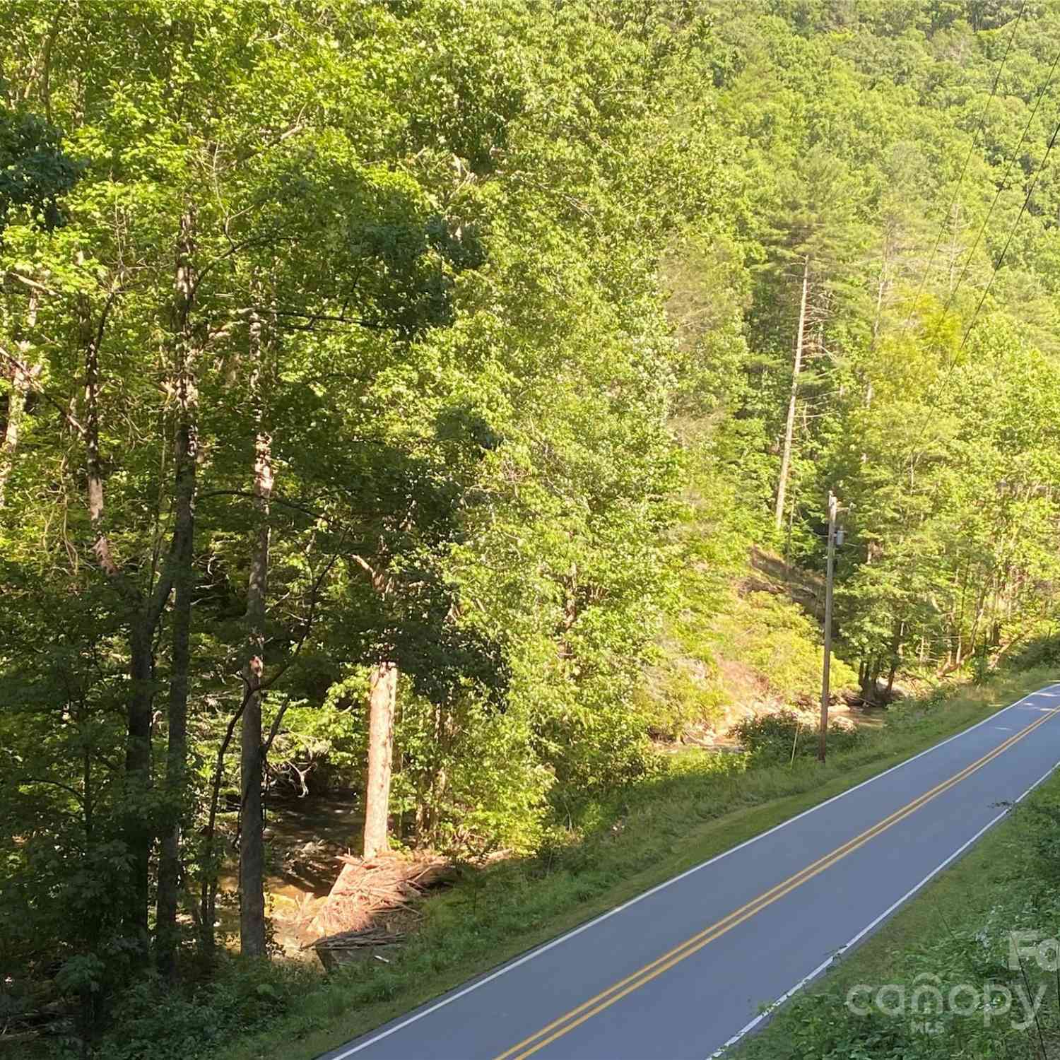 0000 Big Laurel Road, Marshall, North Carolina image 3