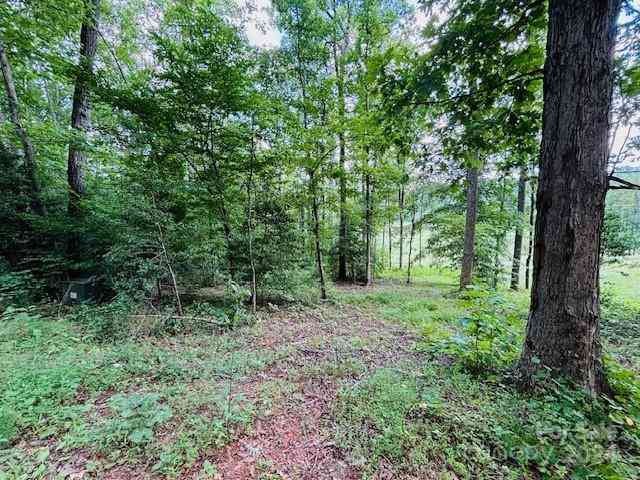 Plantation Drive Extension, Rutherfordton, North Carolina image 9