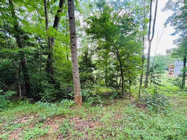 Plantation Drive Extension, Rutherfordton, North Carolina image 10