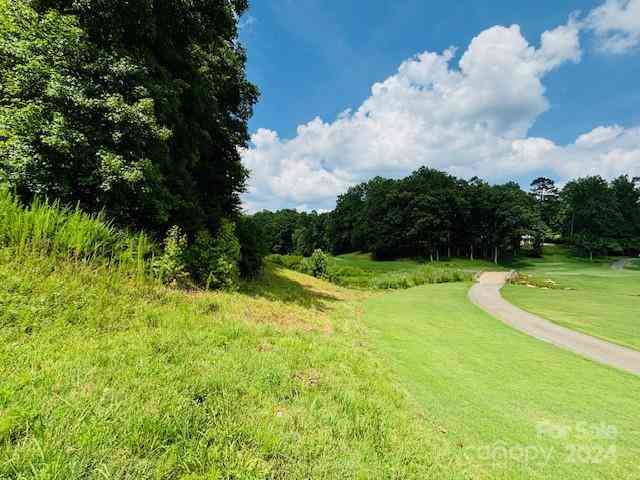 Plantation Drive Extension, Rutherfordton, North Carolina image 14