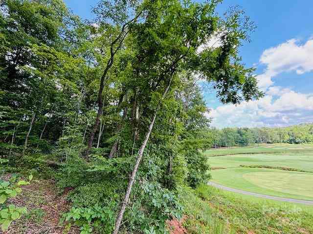 Plantation Drive Extension, Rutherfordton, North Carolina image 6