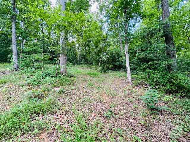 Plantation Drive Extension, Rutherfordton, North Carolina image 8