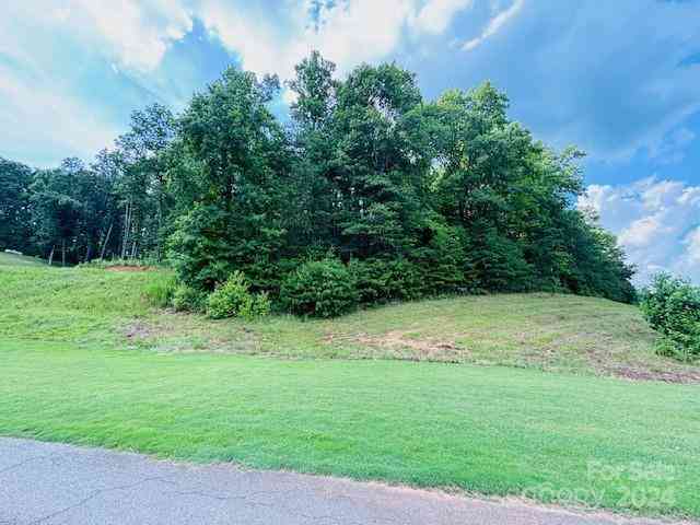 Plantation Drive Extension, Rutherfordton, North Carolina image 16