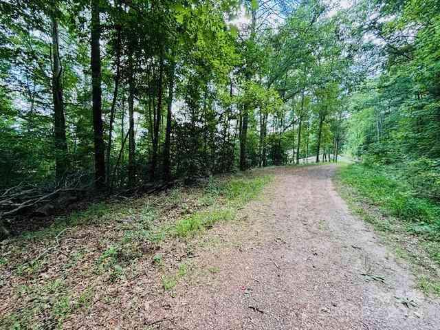 Plantation Drive Extension, Rutherfordton, North Carolina image 4