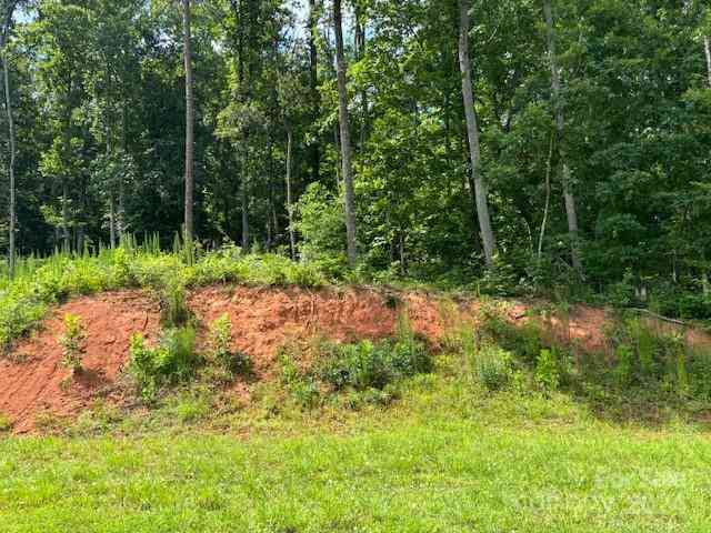 Plantation Drive Extension, Rutherfordton, North Carolina image 12