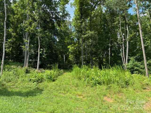 Plantation Drive Extension, Rutherfordton, North Carolina image 11