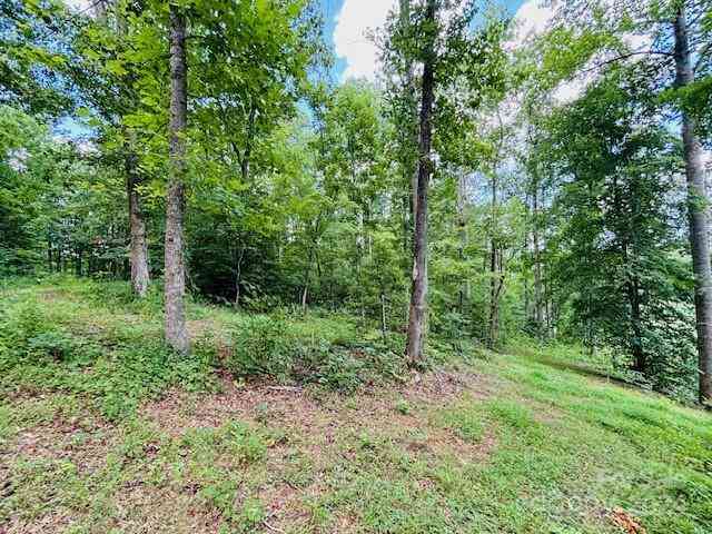 Plantation Drive Extension, Rutherfordton, North Carolina image 5