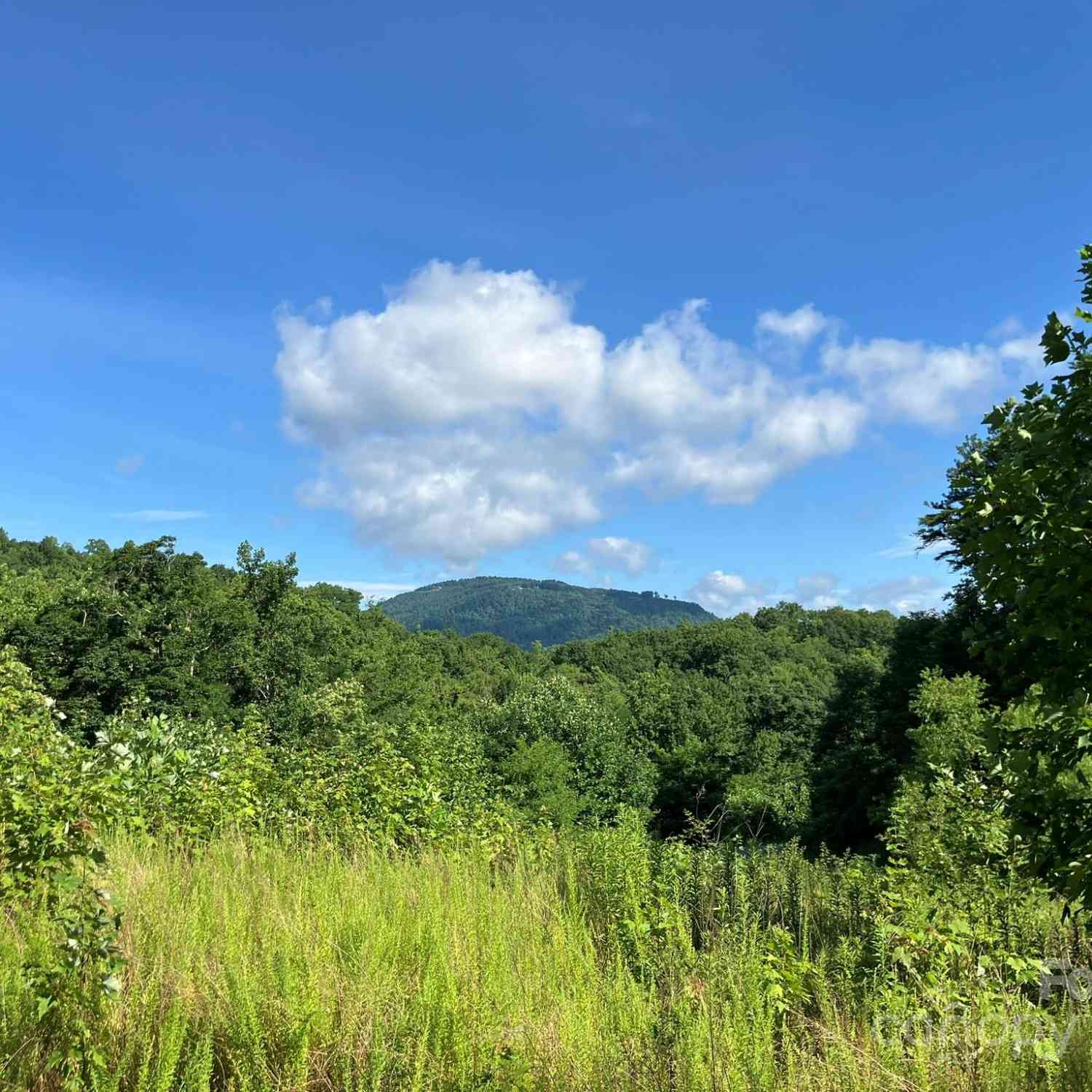 Grey Rock Parkway #250, Lake Lure, North Carolina image 9