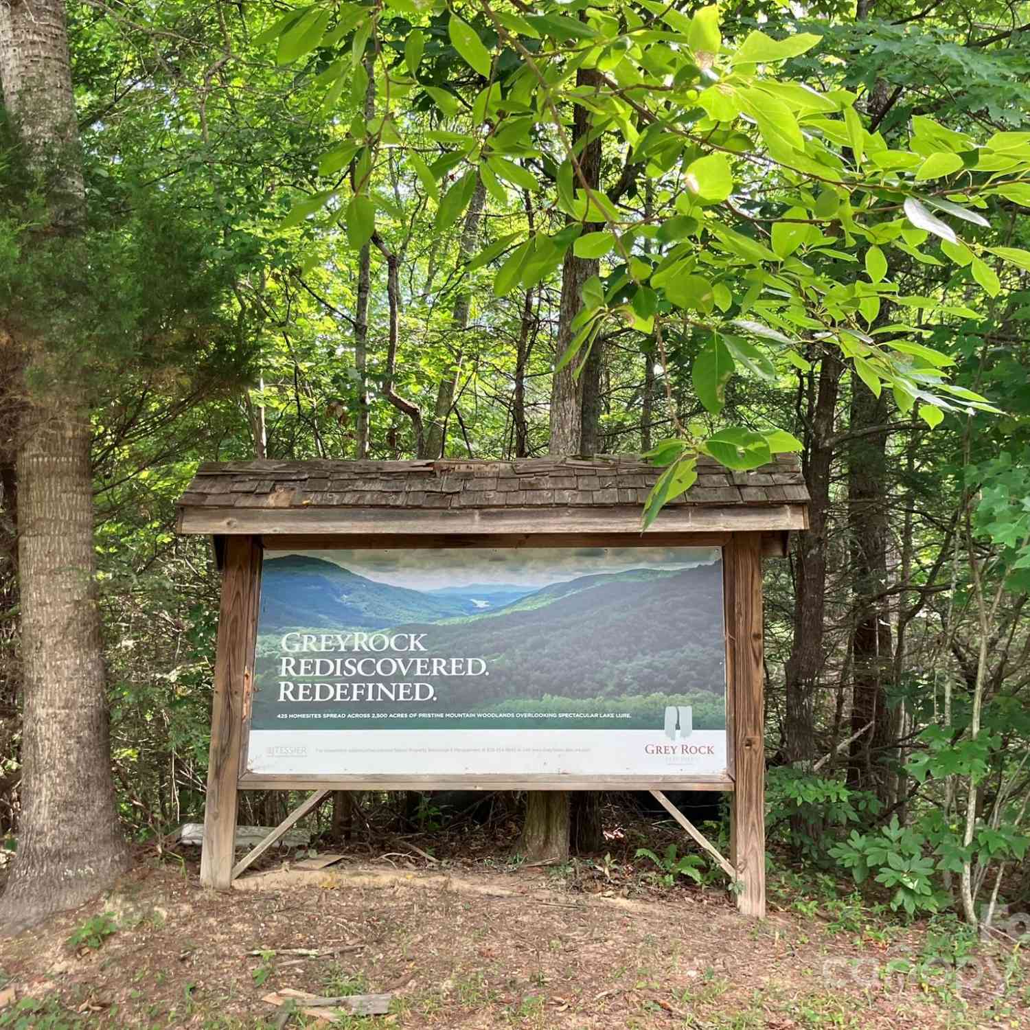 Grey Rock Parkway #250, Lake Lure, North Carolina image 4