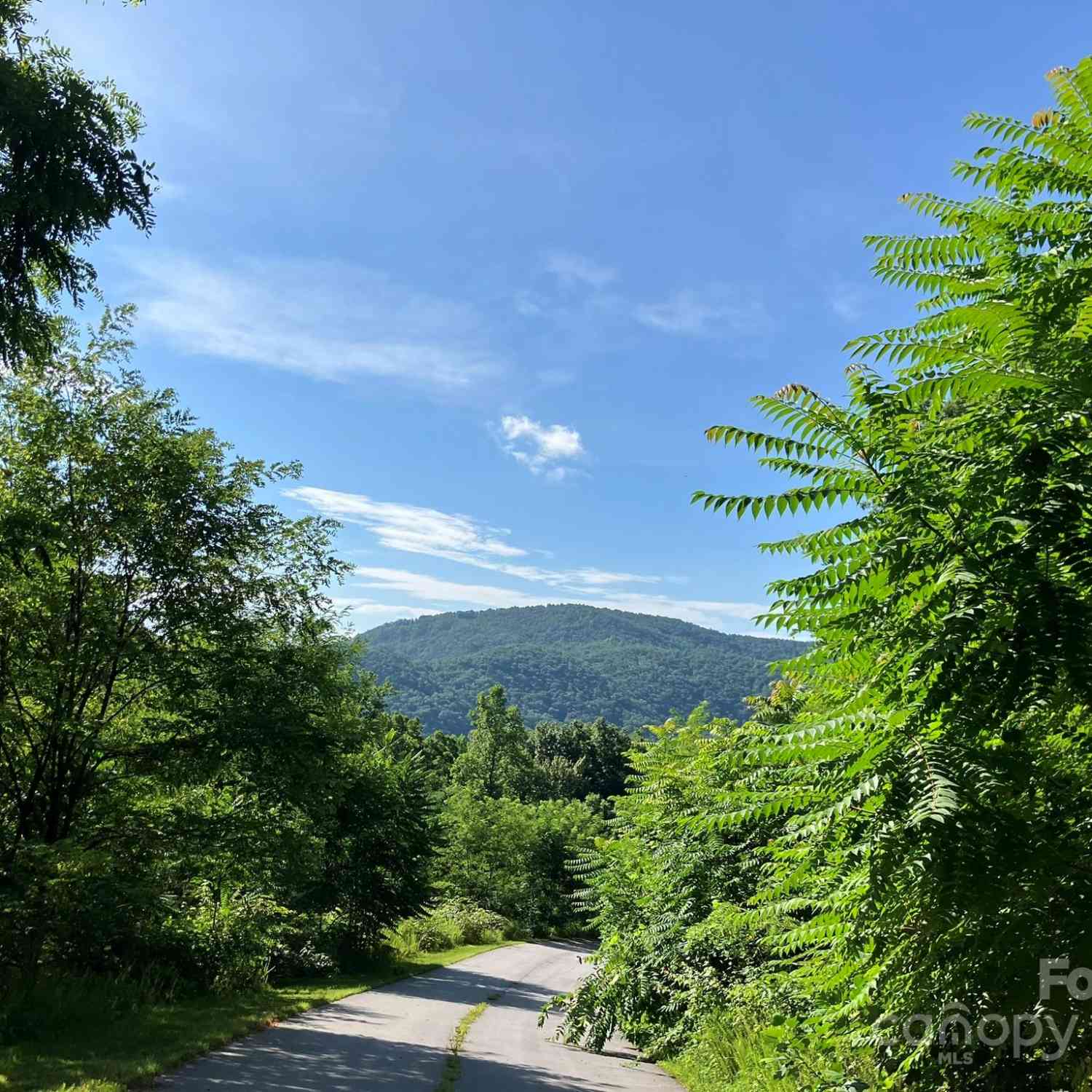 Grey Rock Parkway #250, Lake Lure, North Carolina image 8