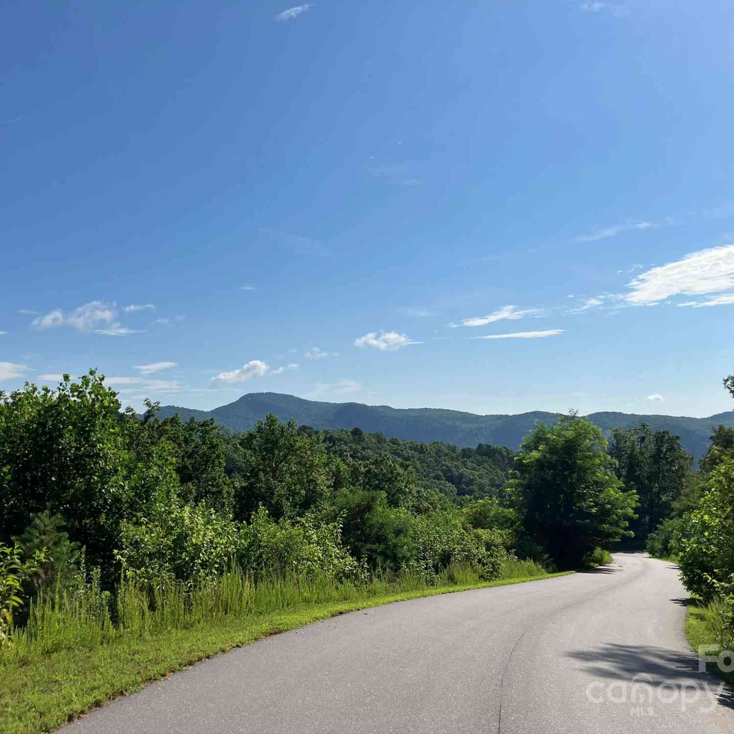 Grey Rock Parkway #250, Lake Lure, North Carolina image 5