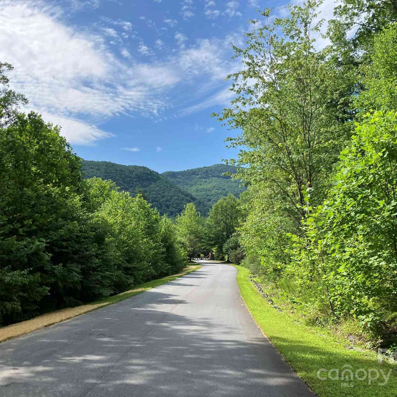 Grey Rock Parkway #250, Lake Lure, North Carolina image 3