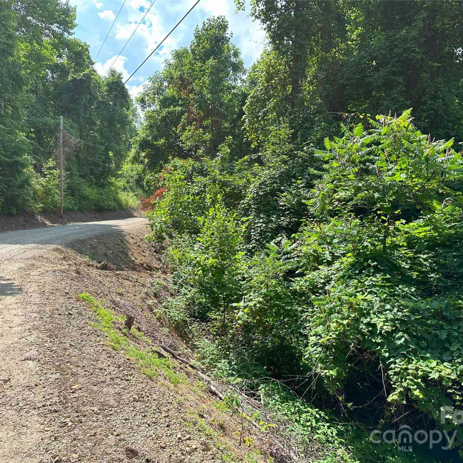 Lot 303 Slippery Rock Road, Waynesville, North Carolina image 2