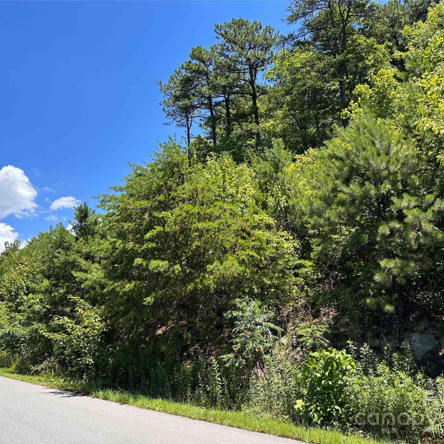 Grey Rock Parkway, Lake Lure, North Carolina image 1