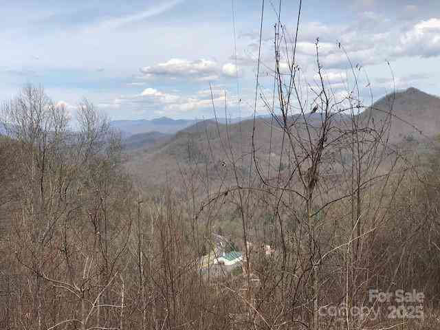 TBD Mountain Brook Road, Sylva, North Carolina image 7