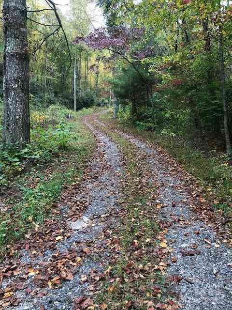 TBD Mountain Brook Road, Sylva, North Carolina image 23