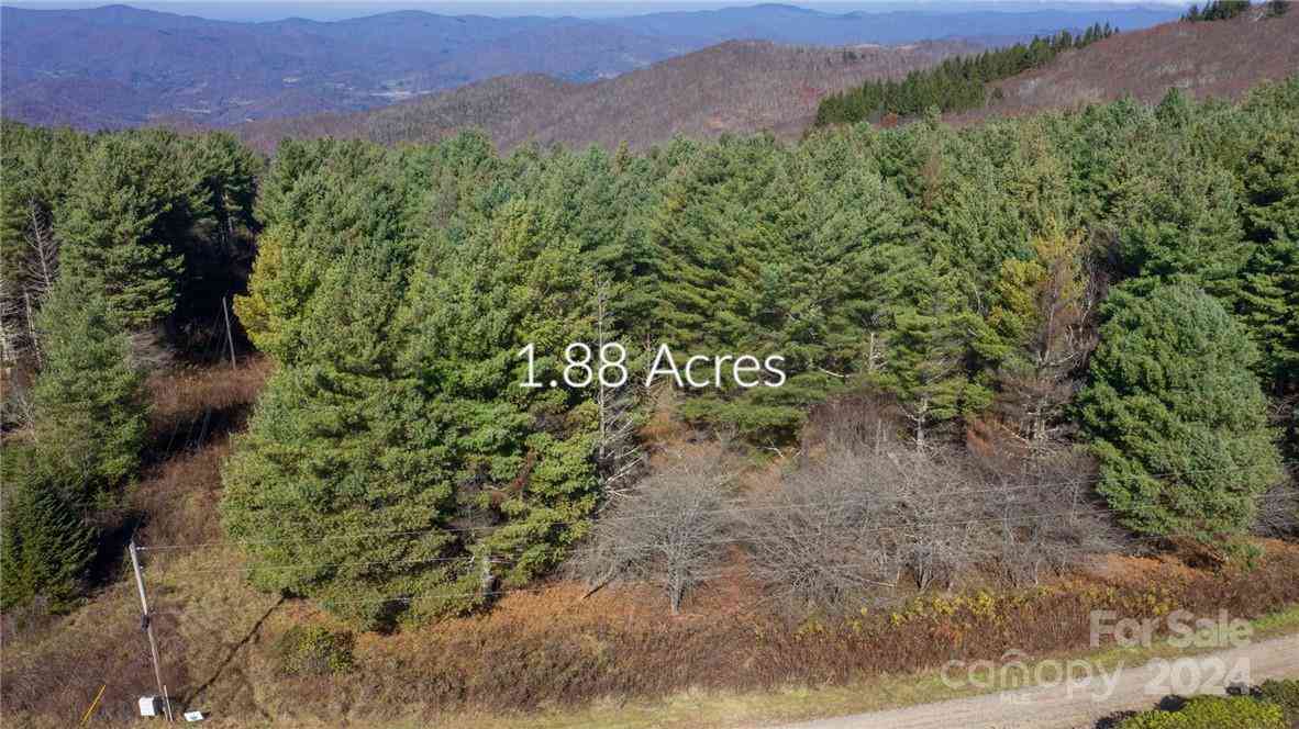 197 Eagle Bald Trail #LOT 34, Burnsville, North Carolina image 8