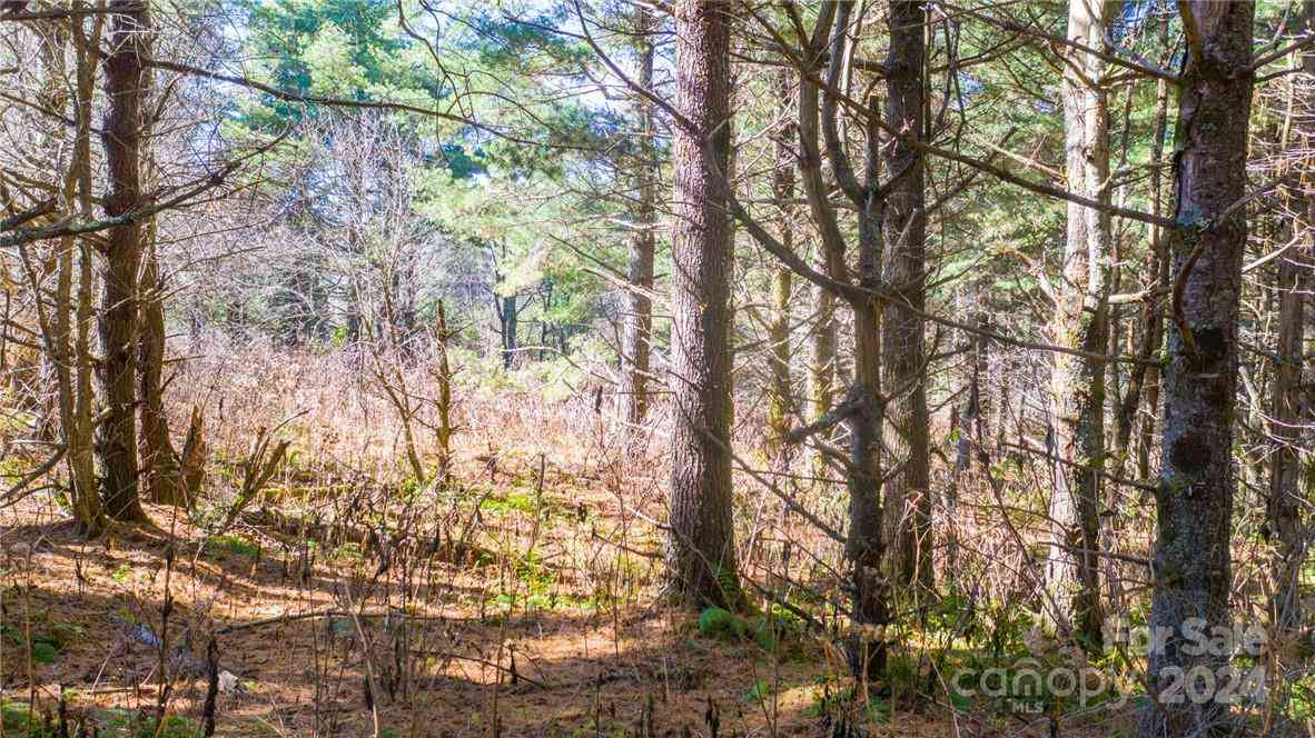 197 Eagle Bald Trail #LOT 34, Burnsville, North Carolina image 5