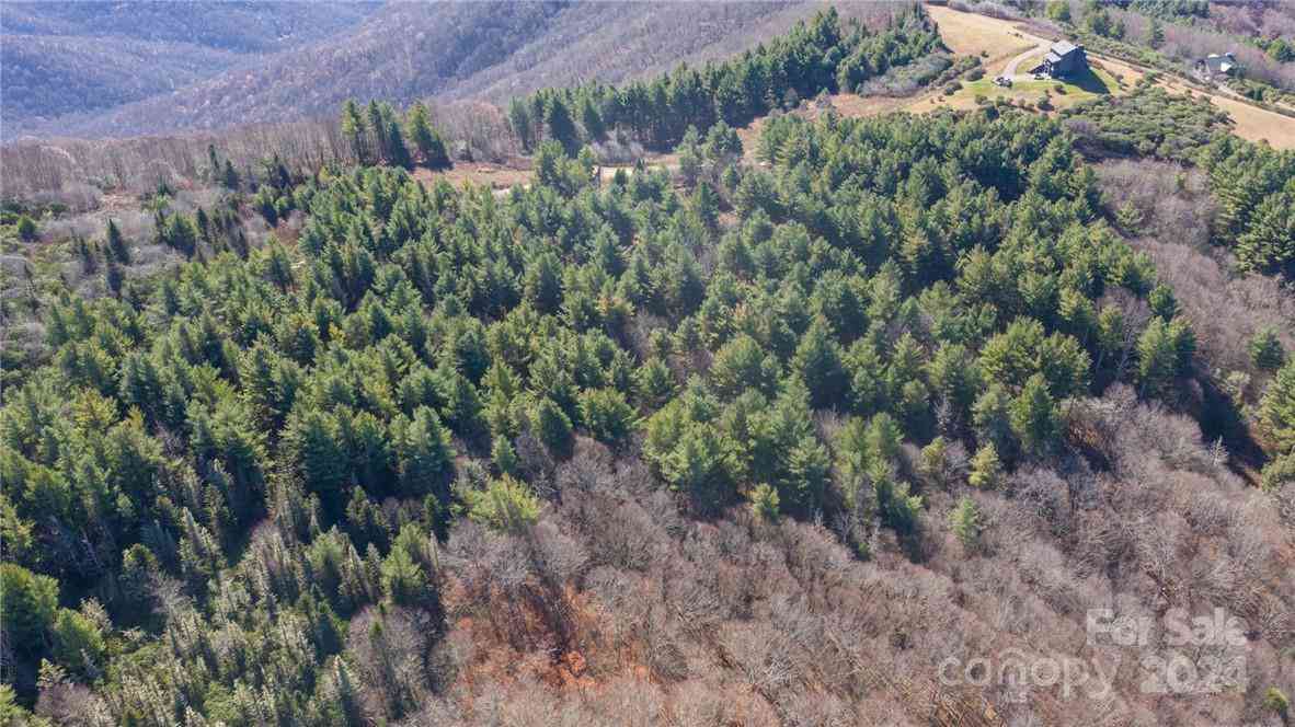 197 Eagle Bald Trail #LOT 34, Burnsville, North Carolina image 15