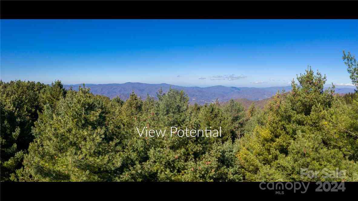 197 Eagle Bald Trail #LOT 34, Burnsville, North Carolina image 1