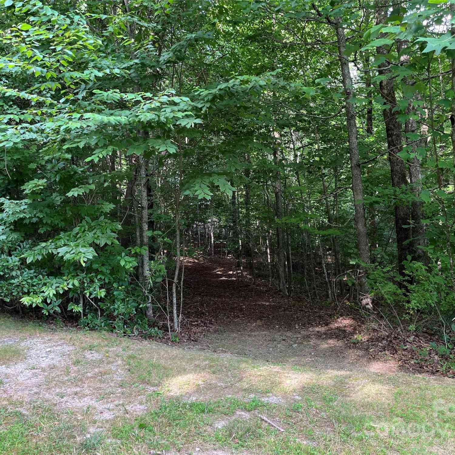 185 Ladys Fern Trail #8-G, Hendersonville, North Carolina image 3