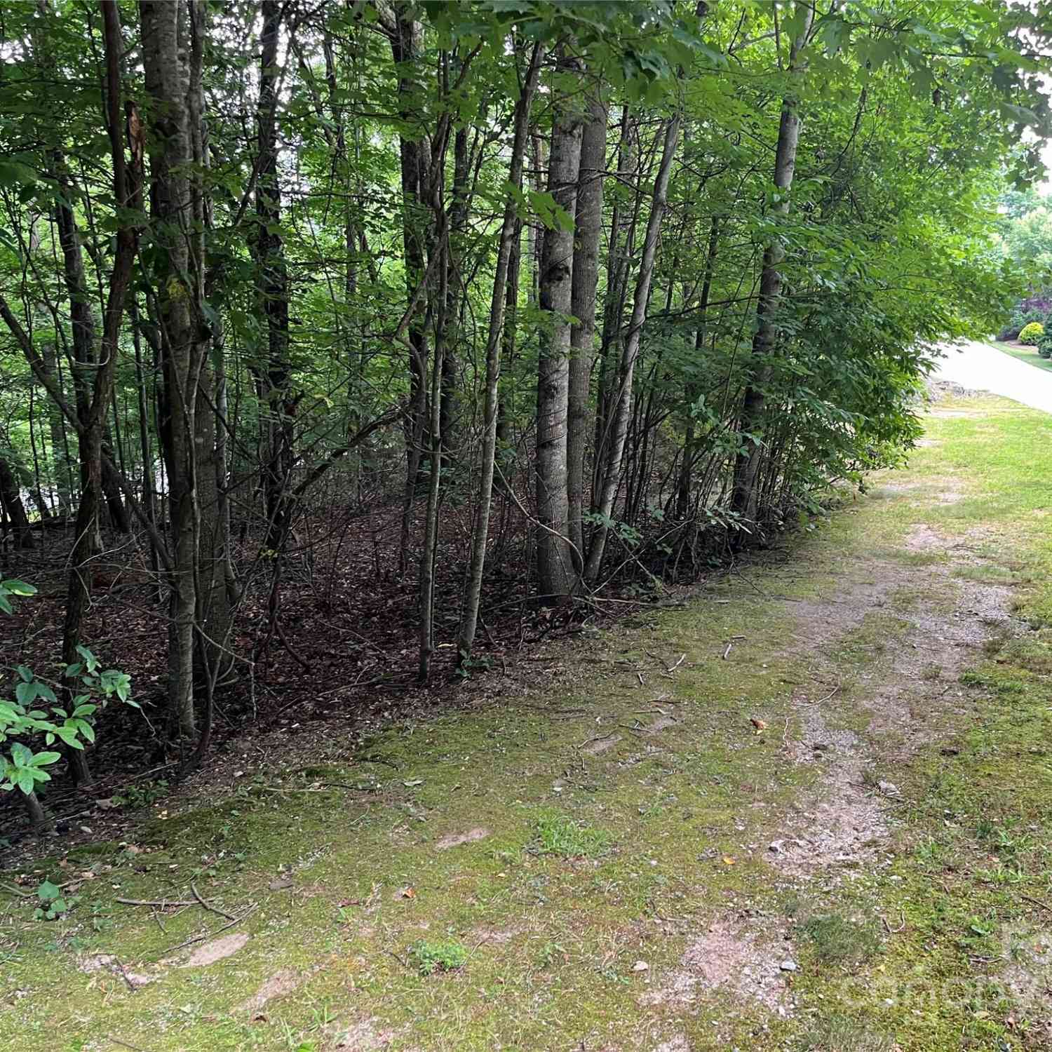 185 Ladys Fern Trail #8-G, Hendersonville, North Carolina image 1