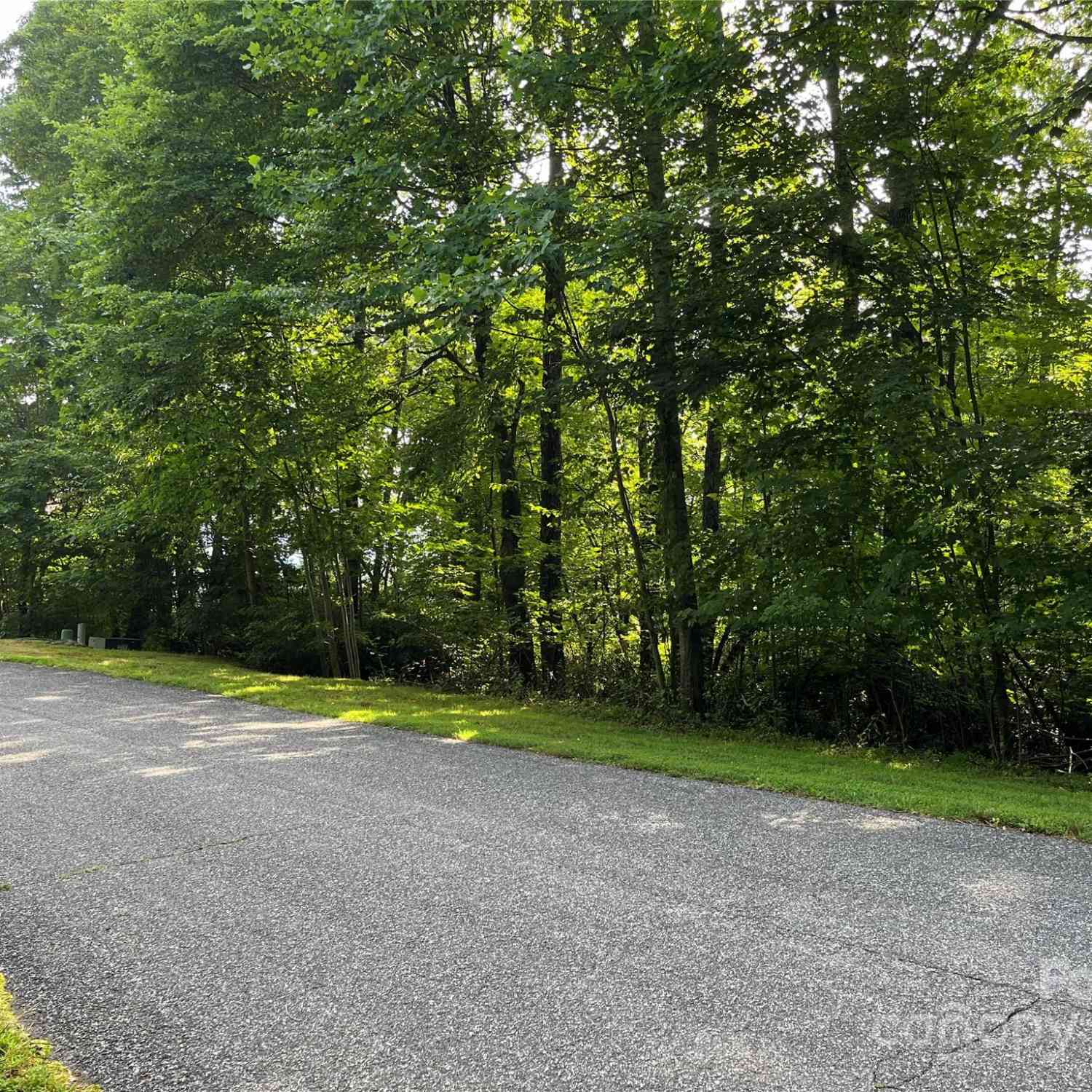 185 Ladys Fern Trail #8-G, Hendersonville, North Carolina image 2
