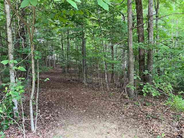 185 Ladys Fern Trail #8-G, Hendersonville, North Carolina image 4