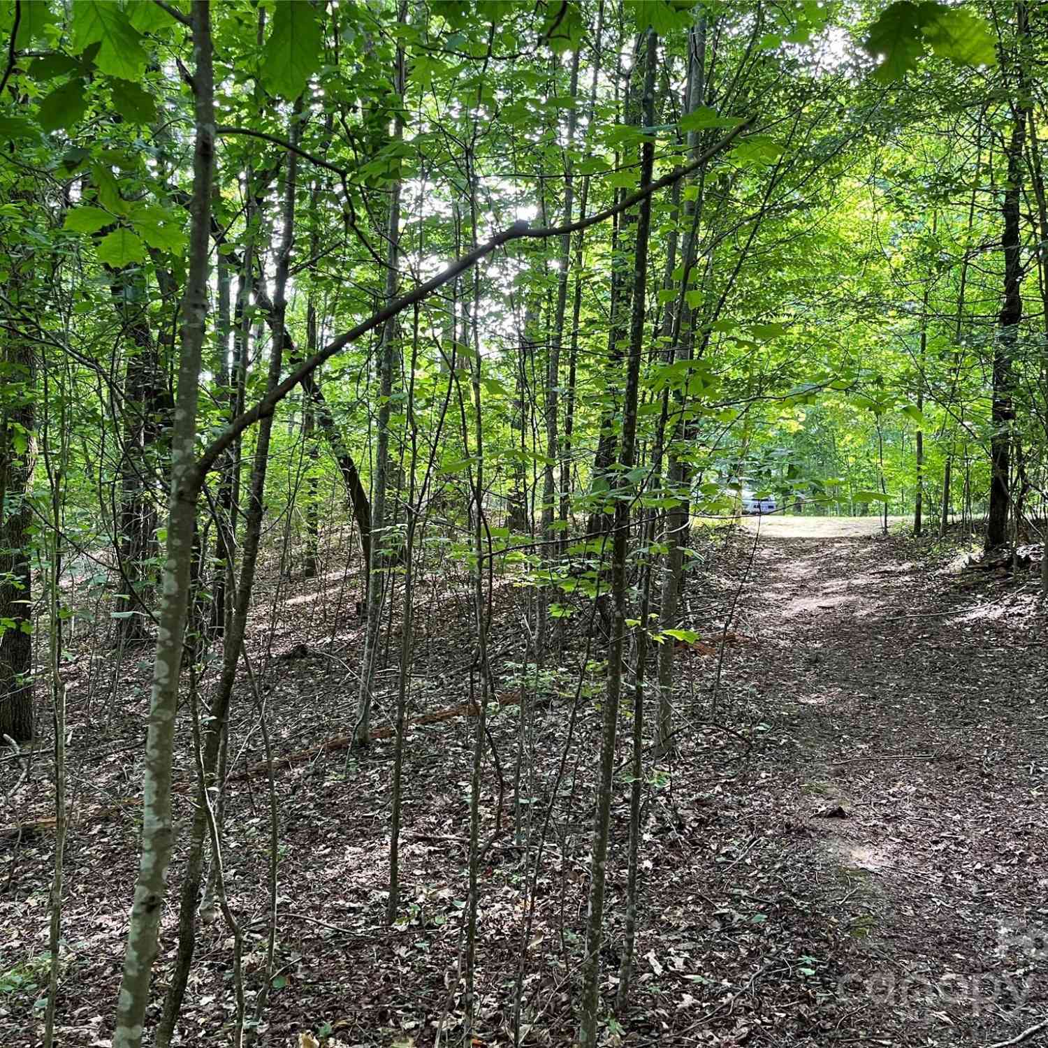 185 Ladys Fern Trail #8-G, Hendersonville, North Carolina image 5