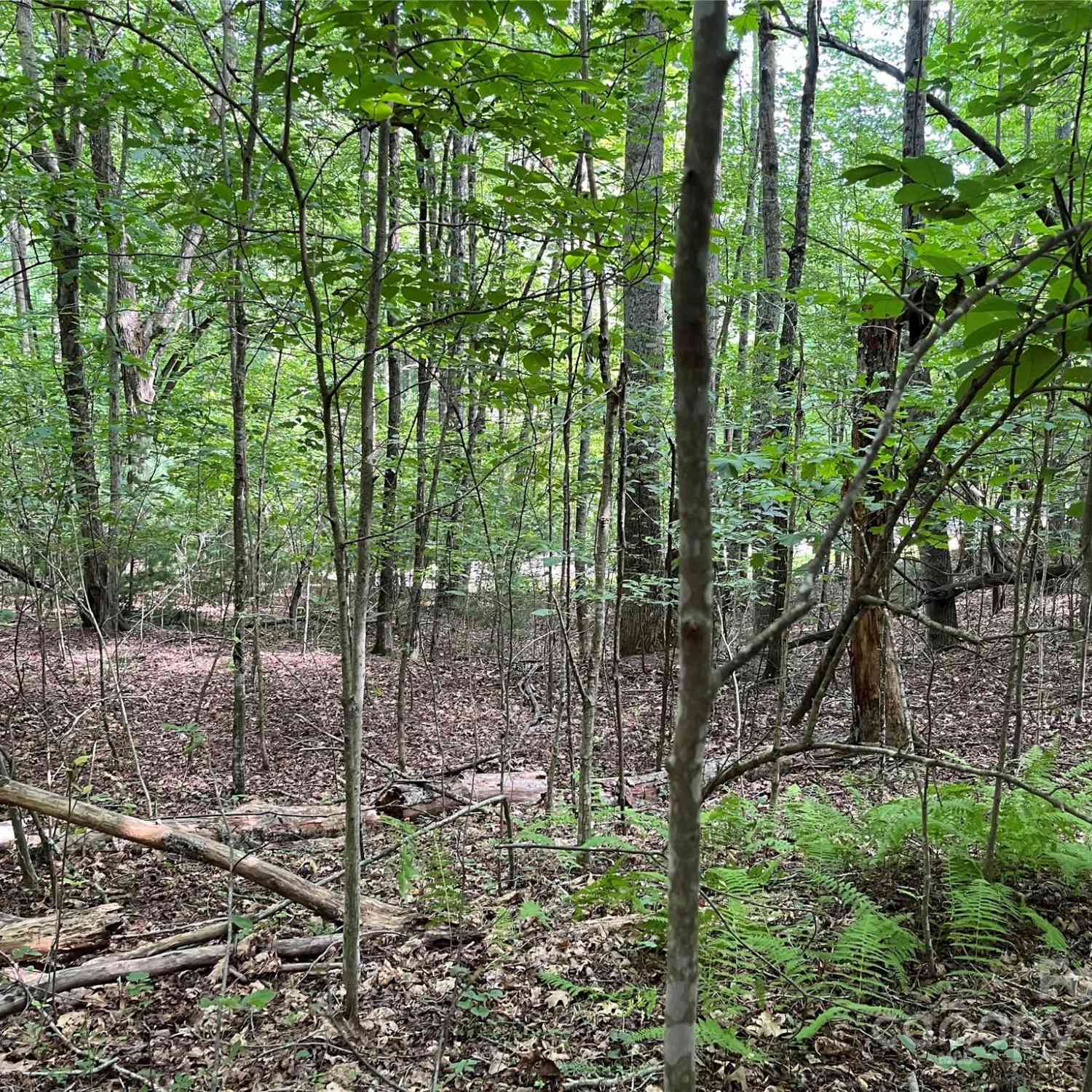 185 Ladys Fern Trail #8-G, Hendersonville, North Carolina image 7