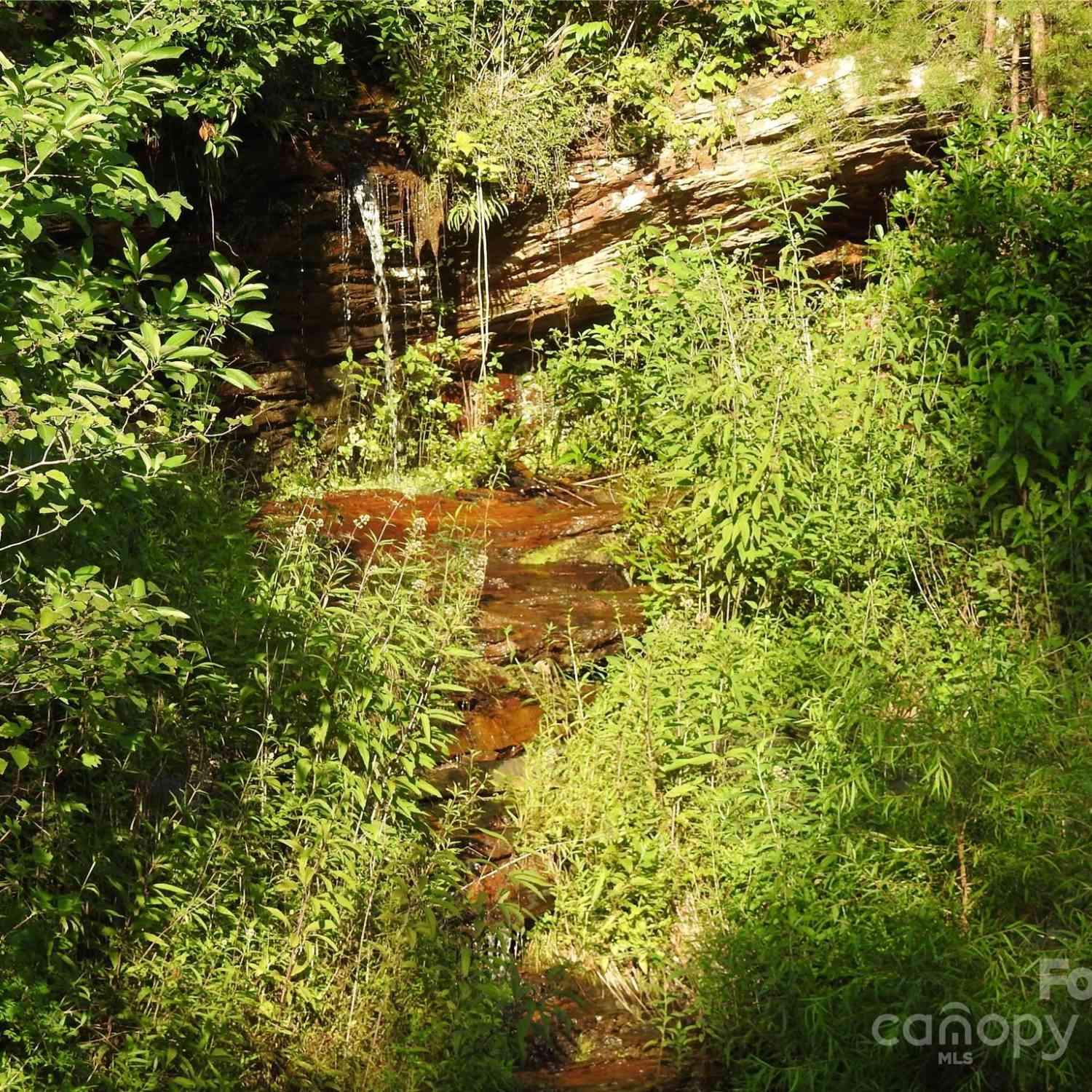 Shooting Star Lane, Lake Lure, North Carolina image 14