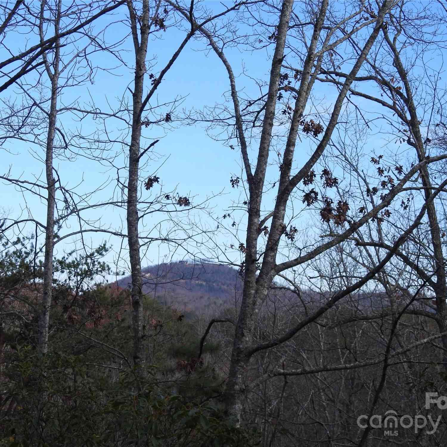 Shooting Star Lane, Lake Lure, North Carolina image 5