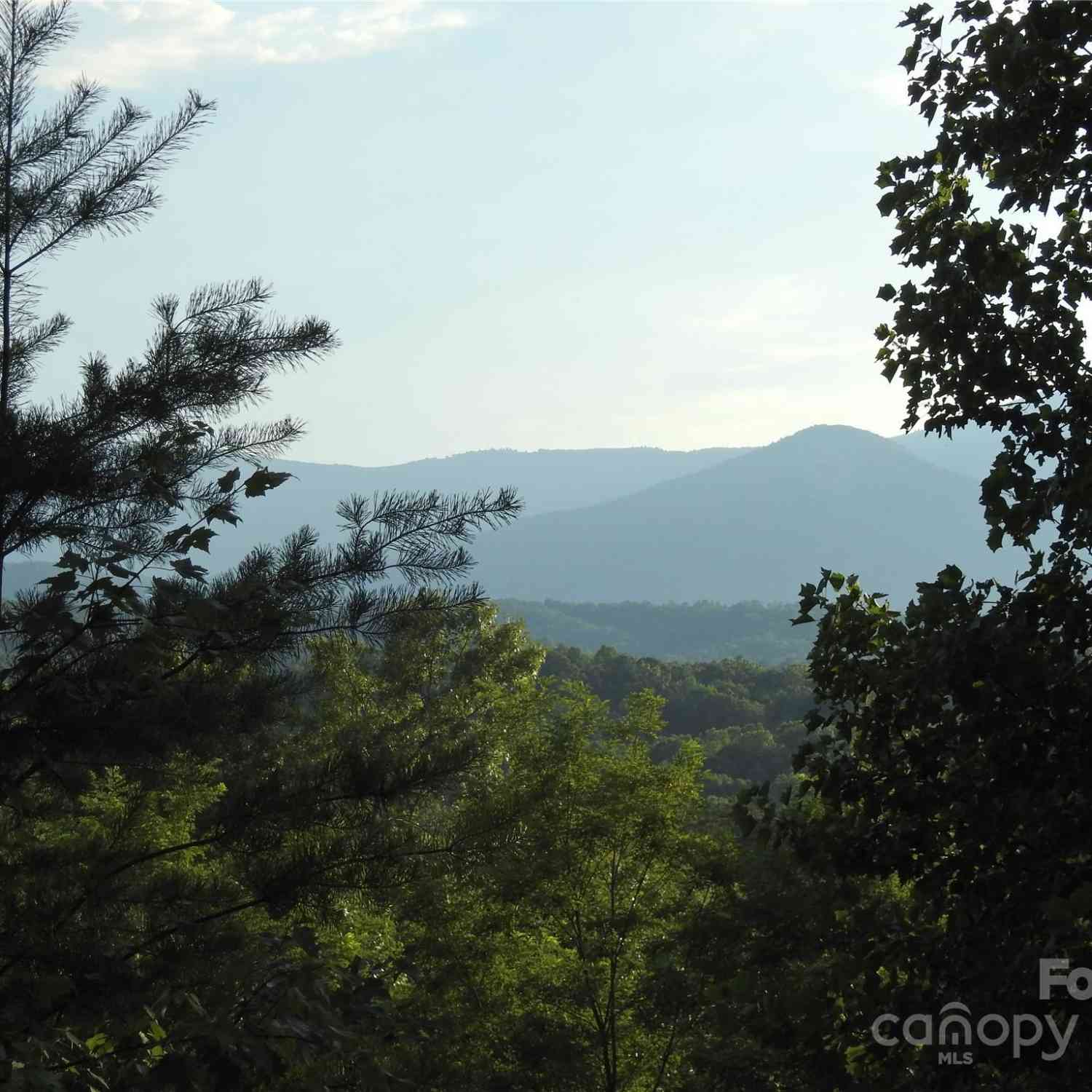 Shooting Star Lane, Lake Lure, North Carolina image 10