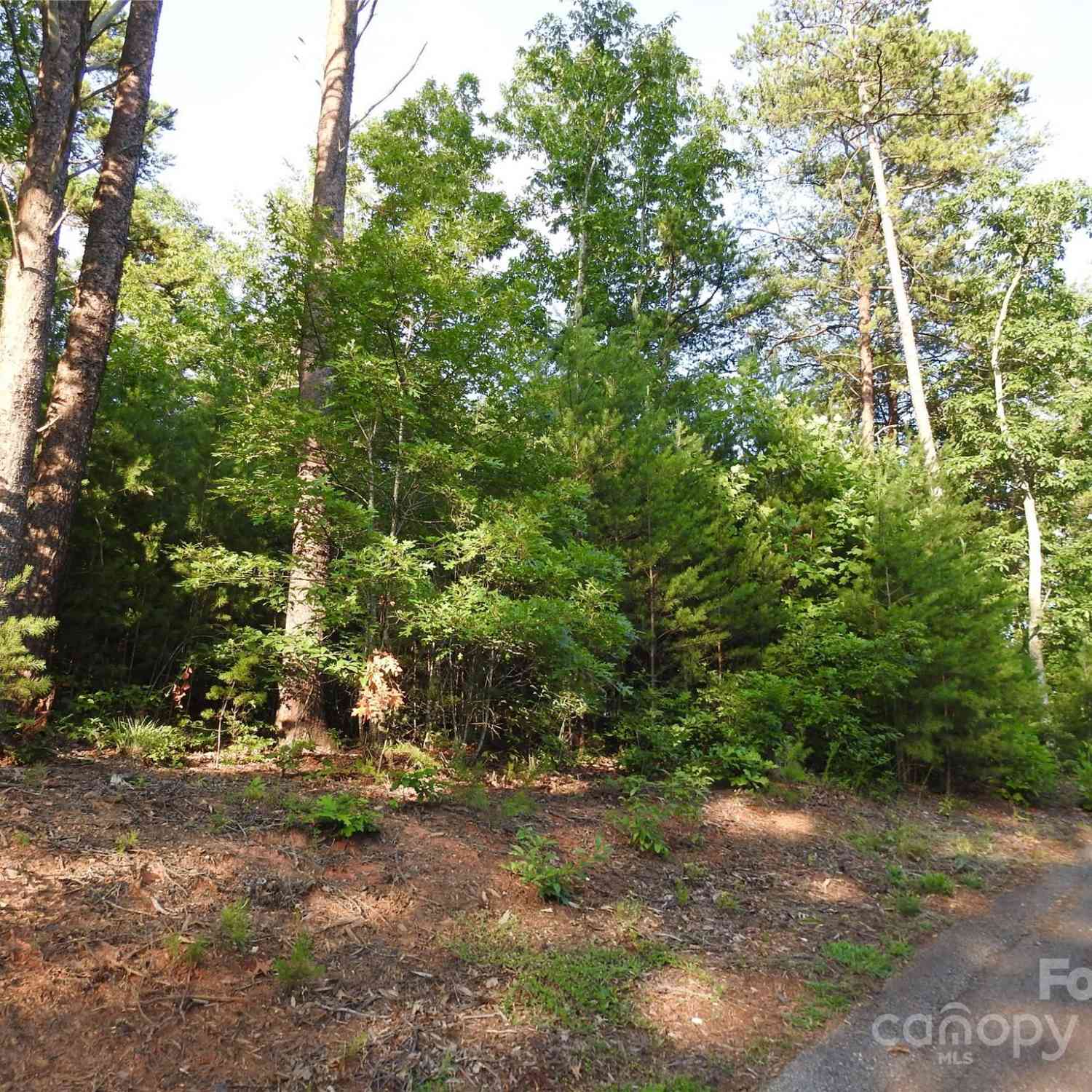 Shooting Star Lane, Lake Lure, North Carolina image 11