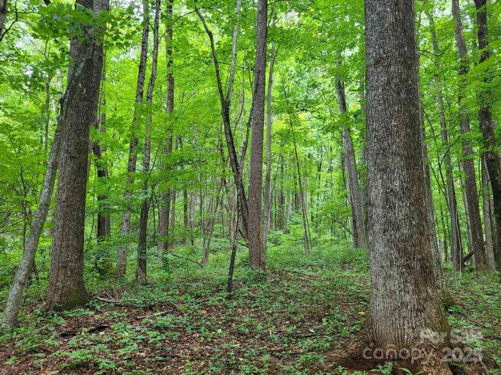 99999 Old Yellow Mountain Road, Marion, North Carolina image 12