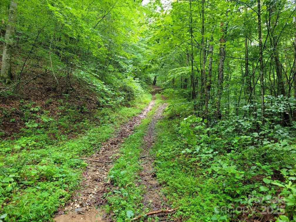 99999 Old Yellow Mountain Road, Marion, North Carolina image 4