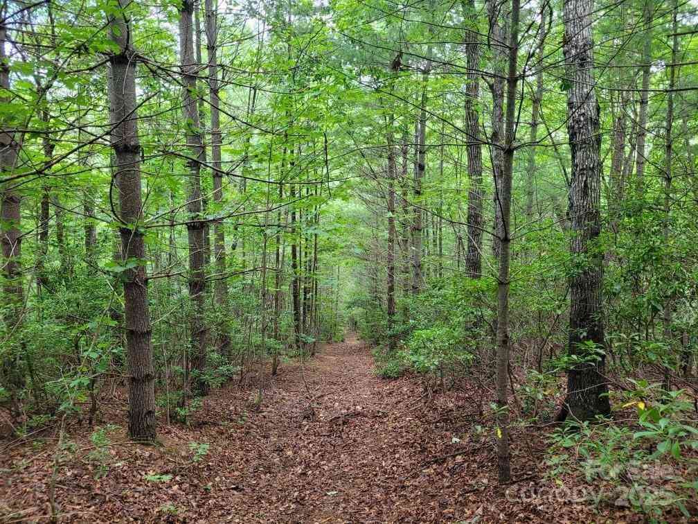 99999 Old Yellow Mountain Road, Marion, North Carolina image 41