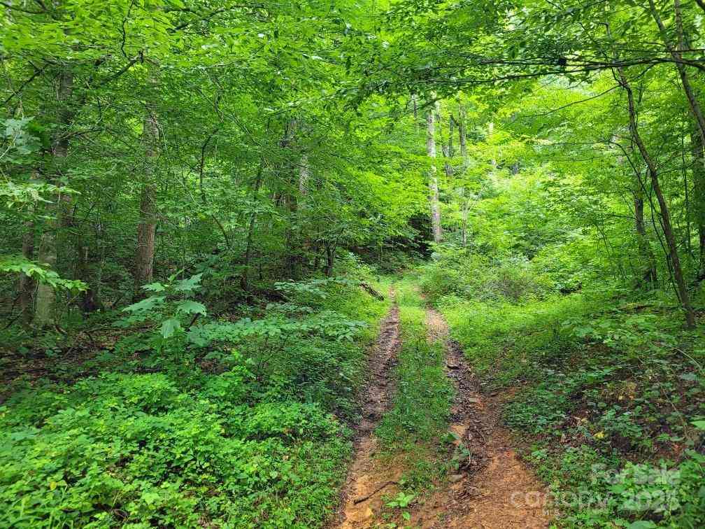 99999 Old Yellow Mountain Road, Marion, North Carolina image 38