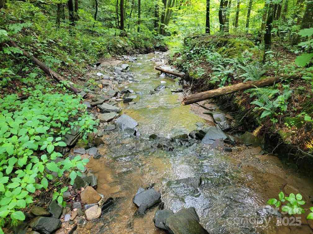 99999 Old Yellow Mountain Road, Marion, North Carolina image 1