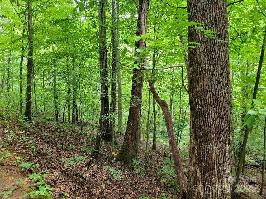 99999 Old Yellow Mountain Road, Marion, North Carolina image 39