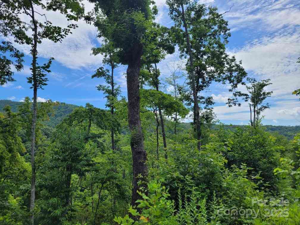 99999 Old Yellow Mountain Road, Marion, North Carolina image 43