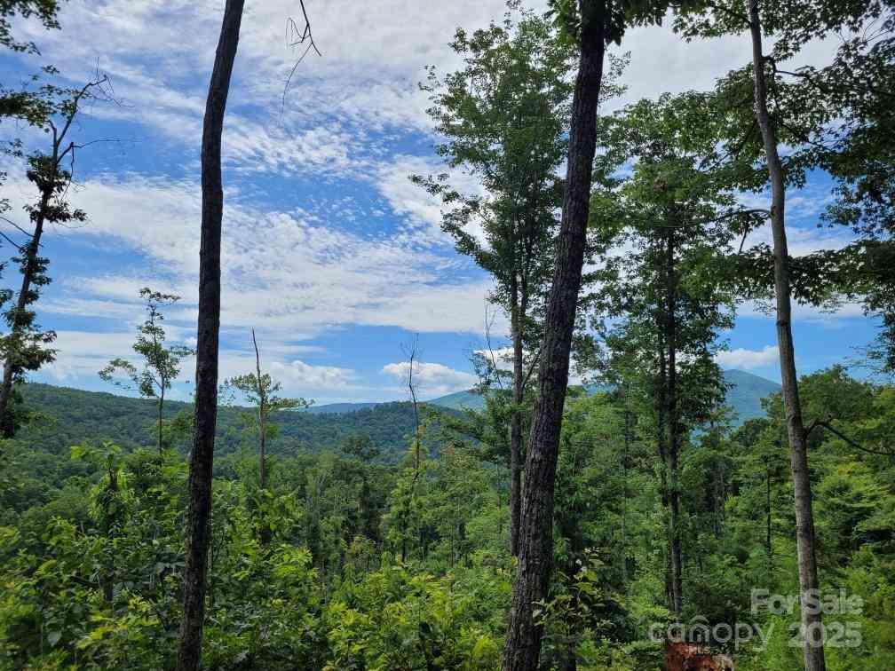 99999 Old Yellow Mountain Road, Marion, North Carolina image 3