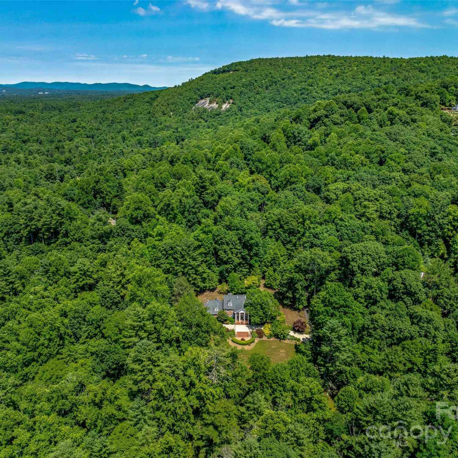 163 Northern Lights Lane, Hendersonville, North Carolina image 2
