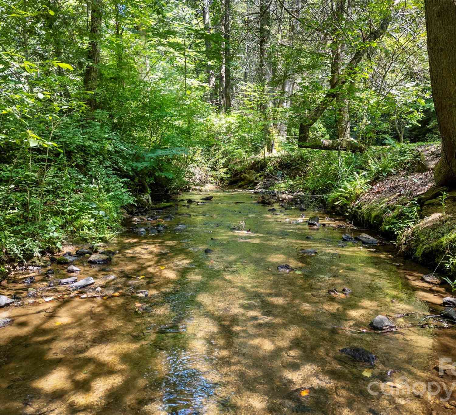 240 And 252 General Hill Road, Flat Rock, North Carolina image 40