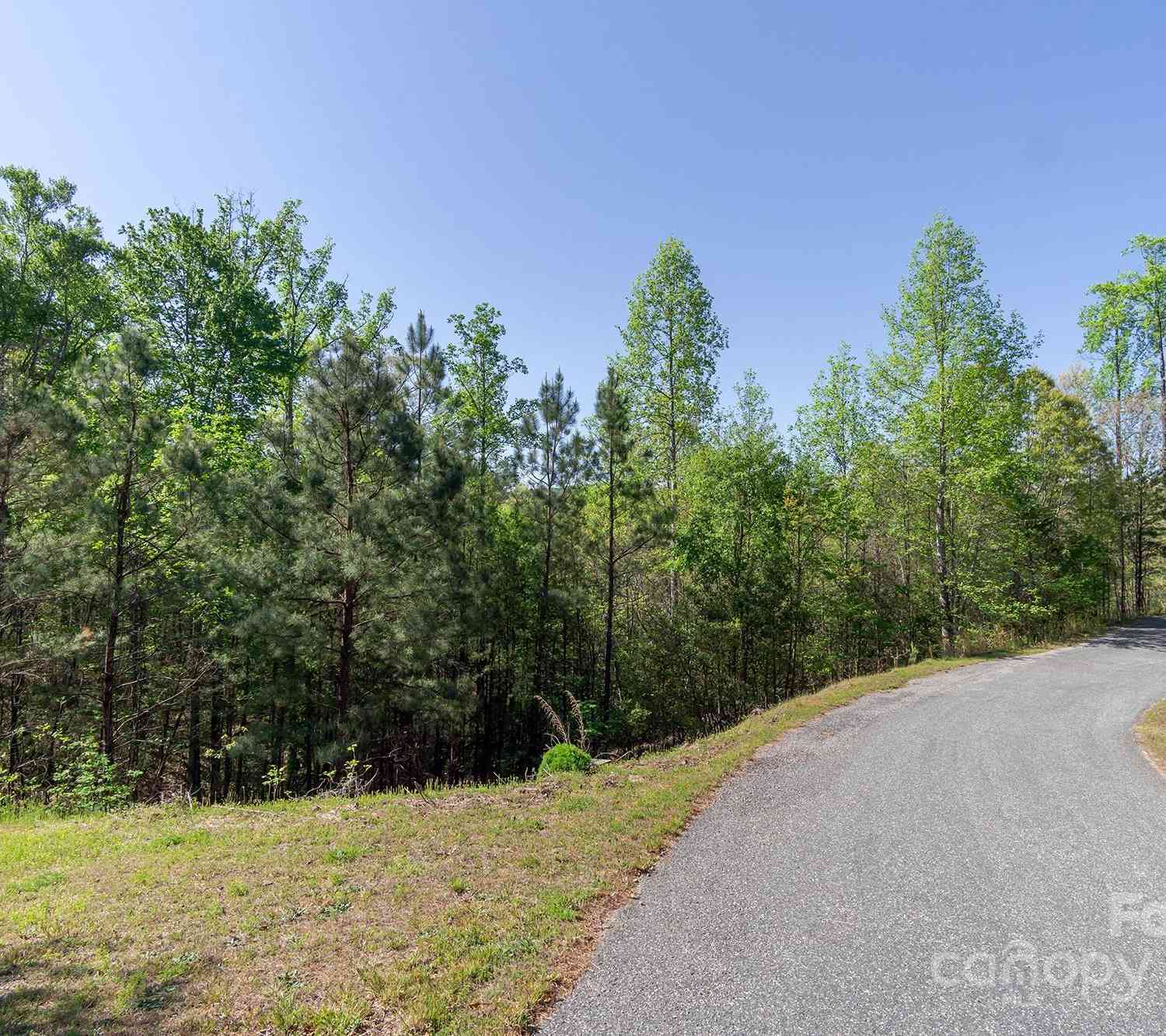 V/L Easy Street #11 AND 12, Lake Lure, North Carolina image 9