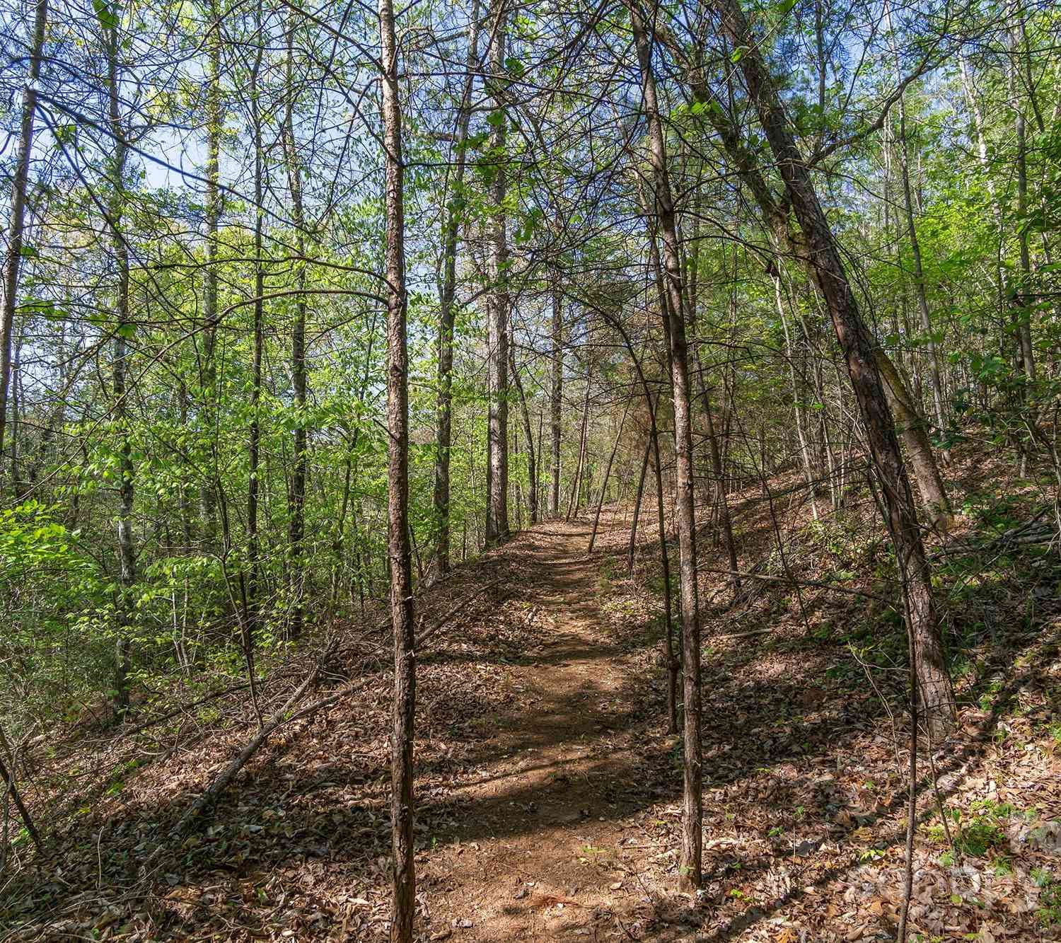 V/L Easy Street #11 AND 12, Lake Lure, North Carolina image 4